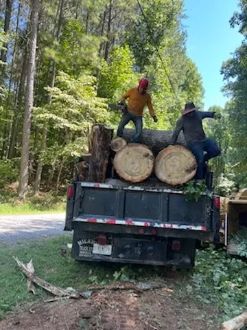 Expert yard cleanup service in Ellijay, GA - Chanax Tree Service And Landscaping