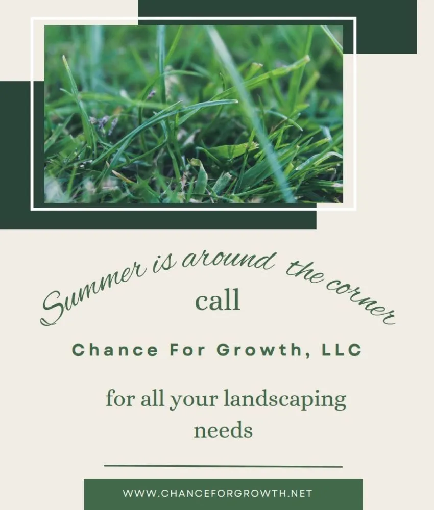 Reliable landscape design experts serving Winter Garden, FL - Chance for Growth