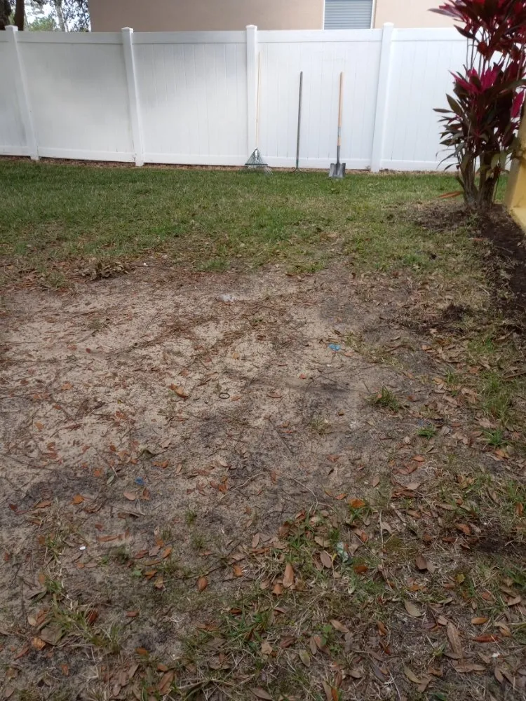 Professional landscape design in Winter Garden, FL - Chance for Growth