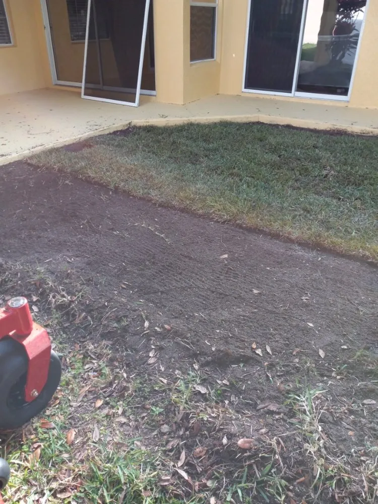 Local residential landscaping experts serving Winter Garden, FL - Chance for Growth