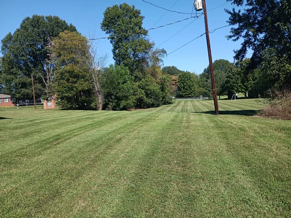 Professional yard cleanup service for year-round maintenance in Green Level, NC by Chance Lawn and Landscaping