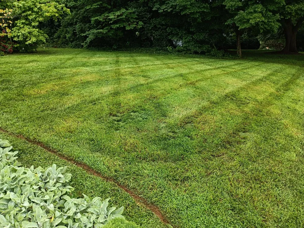 Trusted yard maintenance in Green Level, NC - Chance Lawn and Landscaping
