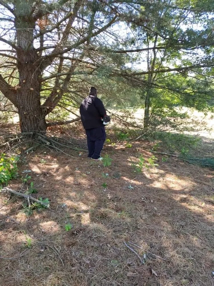 Professional landscape installation with custom design in Dalzell, SC by Chancey's Lawn Care