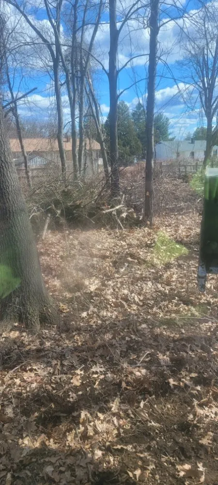 Reliable landscaping services in Goffstown, NH by Chandler Construction