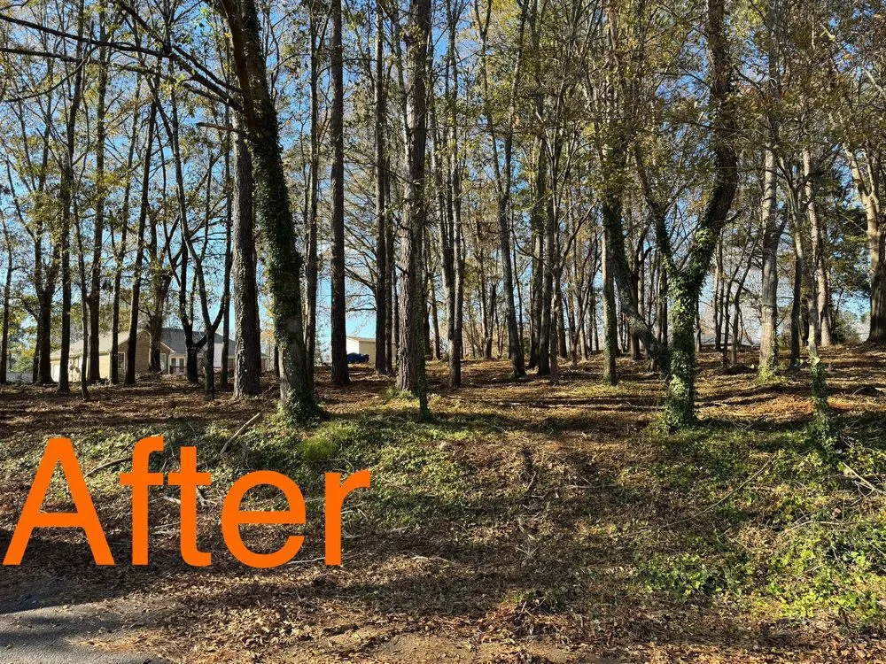 Top-rated garden landscaping in Gaffney, SC by Chandler Land Management