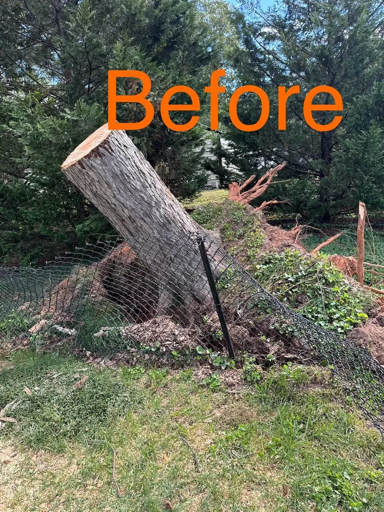 Custom lawn mowing service in Gaffney, SC by Chandler Land Management