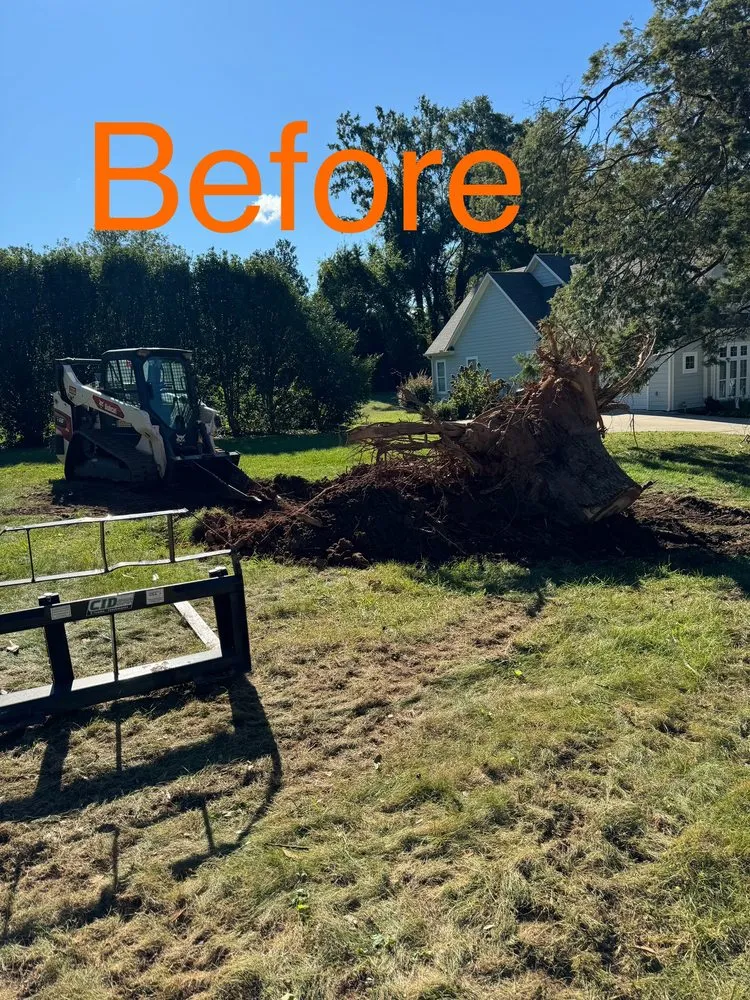 Local landscape installation for year-round maintenance across Gaffney, SC - Chandler Land Management