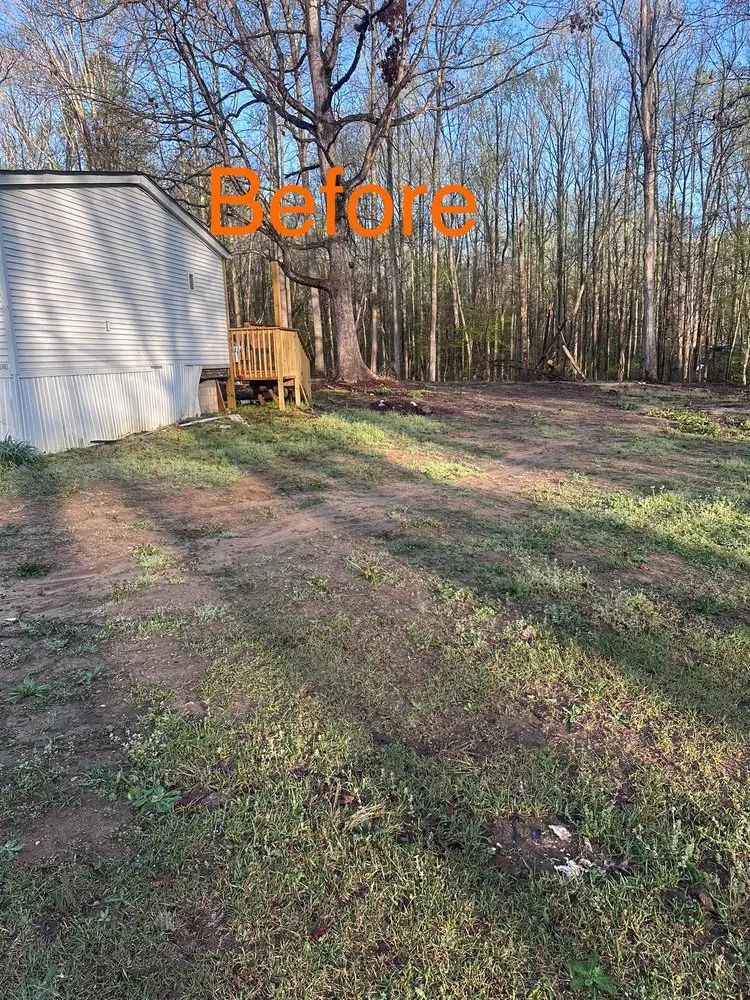 Trusted yard cleanup service in Gaffney, SC by Chandler Land Management