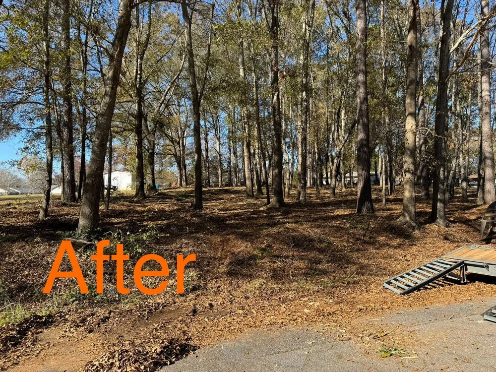 Trusted yard cleanup service experts serving Gaffney, SC - Chandler Land Management