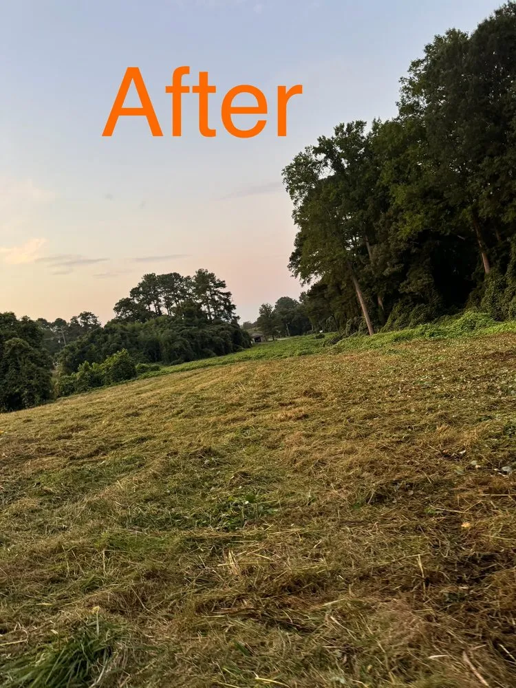 Affordable outdoor landscaping for homes in Gaffney, SC by Chandler Land Management