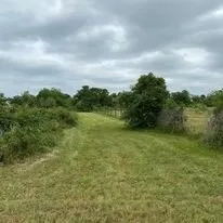 Top-rated landscape design for beautiful yards across Bastrop, TX - Chandler Landscaping