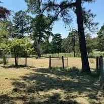 Professional outdoor landscaping in Bastrop, TX by Chandler Landscaping