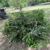 Top-rated yard cleanup service in Bastrop, TX by Chandler Landscaping