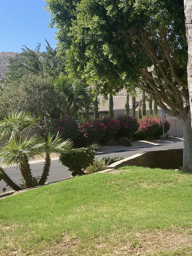Affordable residential landscaping experts serving Queen Creek, AZ - Chandler Lawn & Gardens