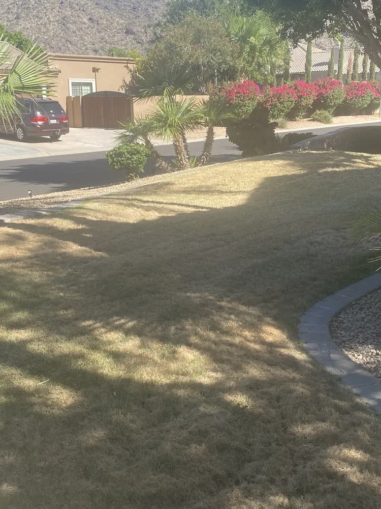 Expert residential landscaping near you in Queen Creek, AZ by Chandler Lawn & Gardens