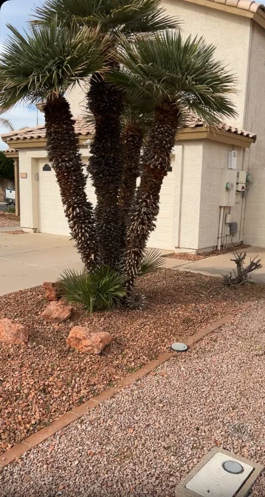 Trusted lawn mowing service in Chandler, AZ - Chandler Lawn care