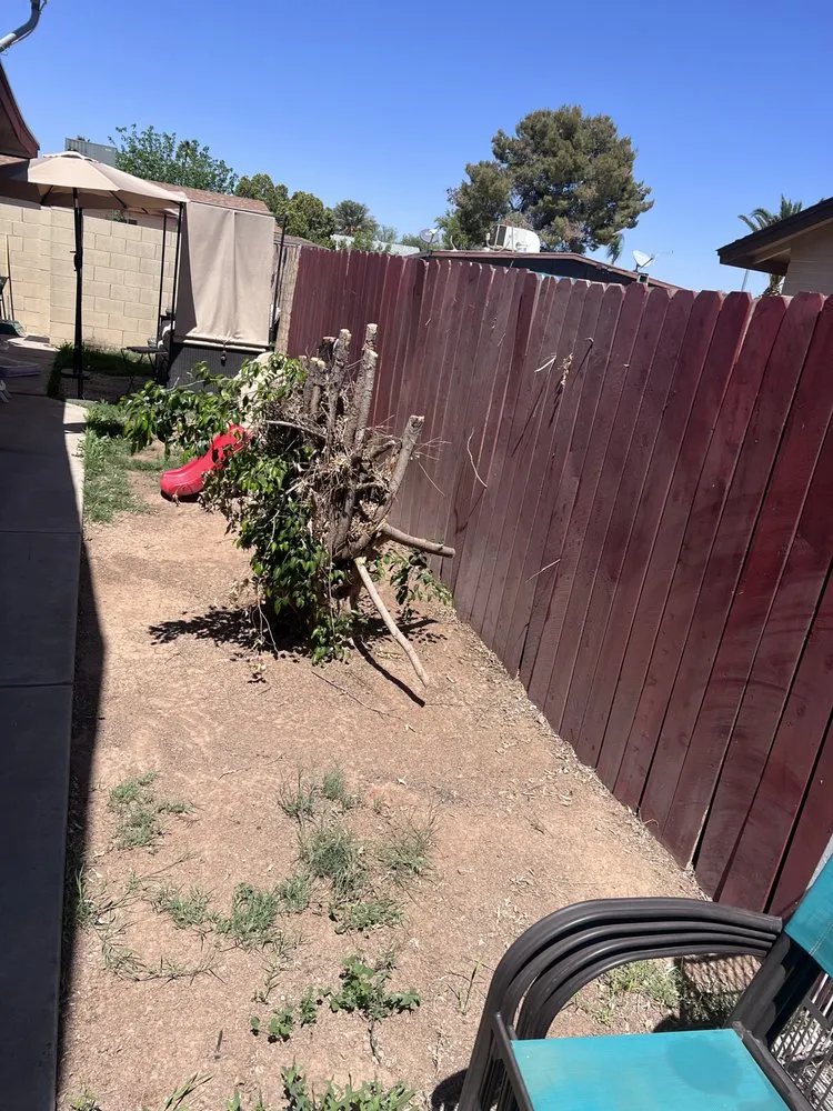 Top-rated lawn care service in Chandler, AZ by Chandler Lawn care