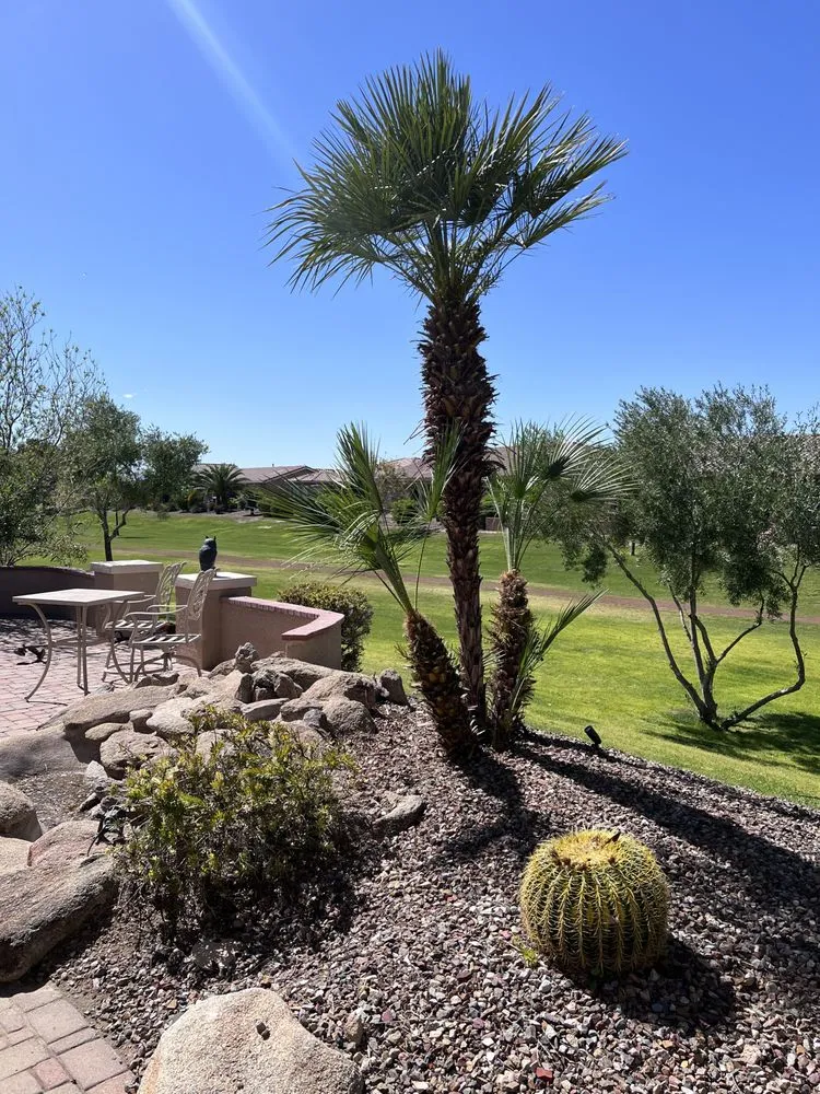 Top-rated landscape design for homes across Chandler, AZ - Chandler Lawn care