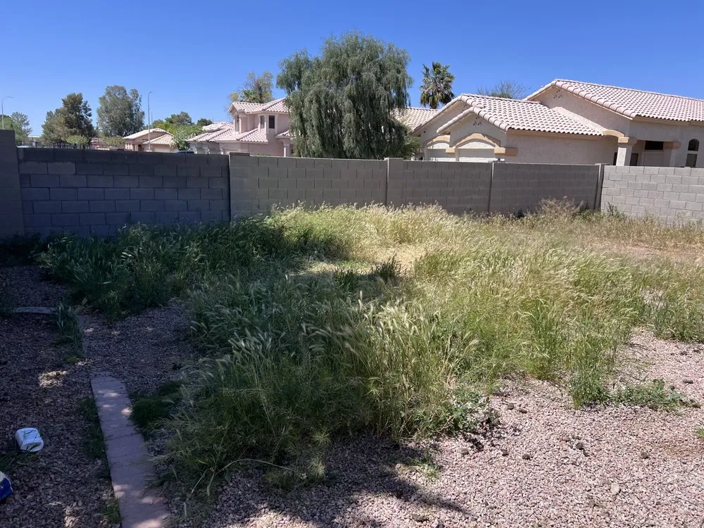 Reliable residential landscaping experts serving Chandler, AZ - Chandler Lawn care