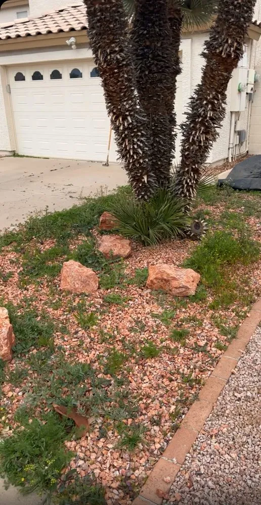 Top-rated landscaping services in Chandler, AZ - Chandler Lawn care