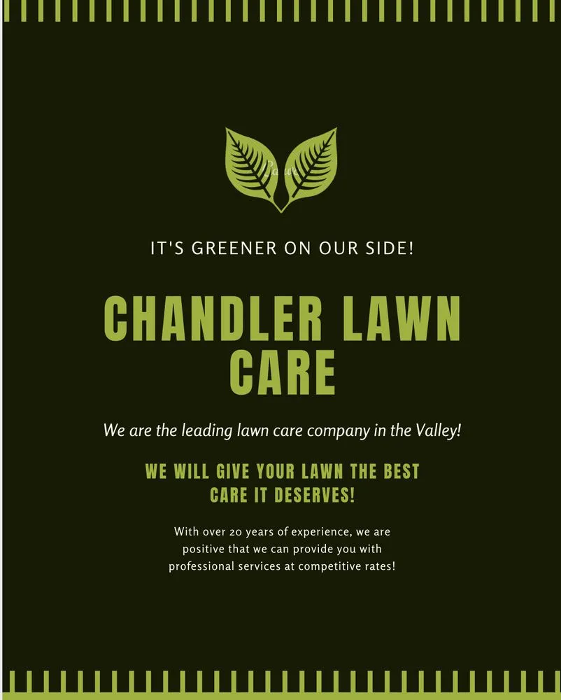 Trusted outdoor landscaping in Chandler, AZ - Chandler Lawn care