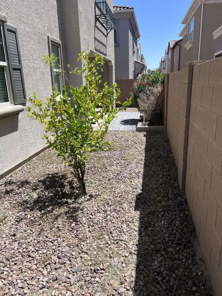 Reliable landscaping services with custom design in Chandler, AZ by Chandler Lawn care
