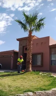 Chandler Lawn care Logo