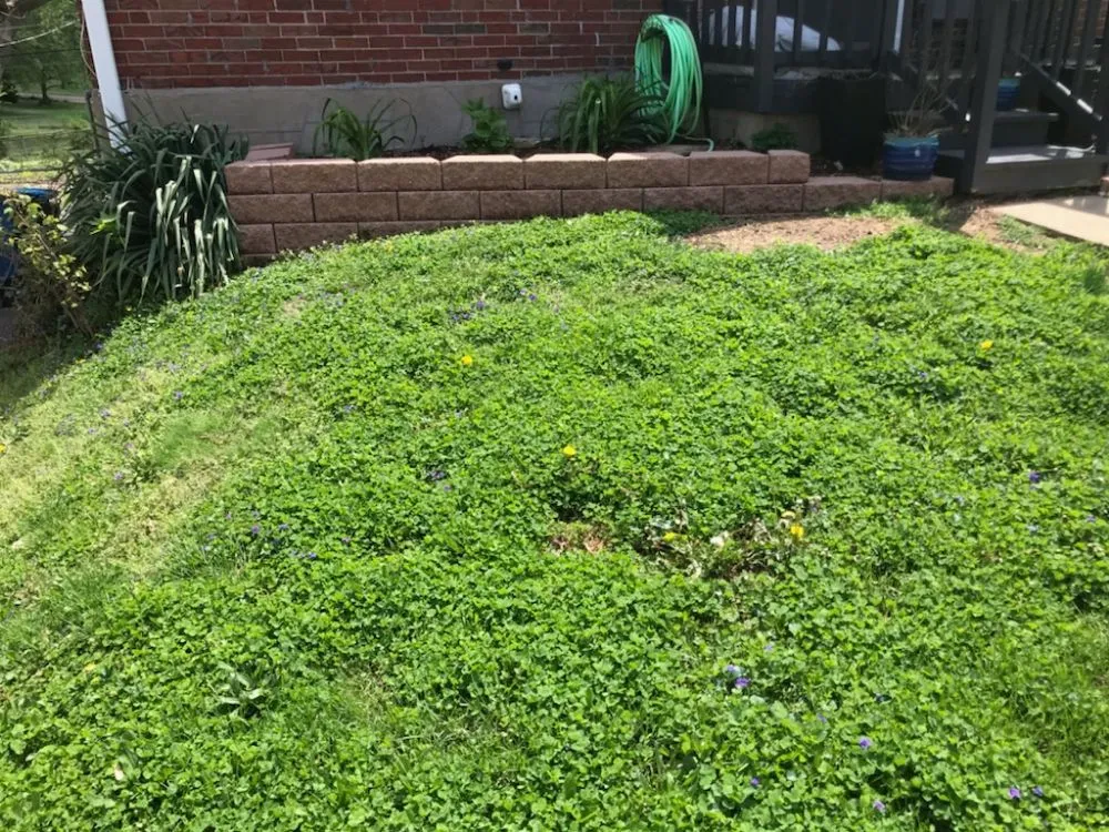 Affordable garden landscaping with custom design in Perryville, MO by Chandler Outdoor Services