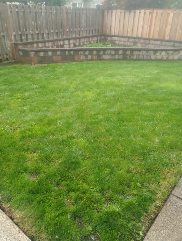 Custom landscape design for beautiful yards across Springfield, OR - Chandler Outdoor Services