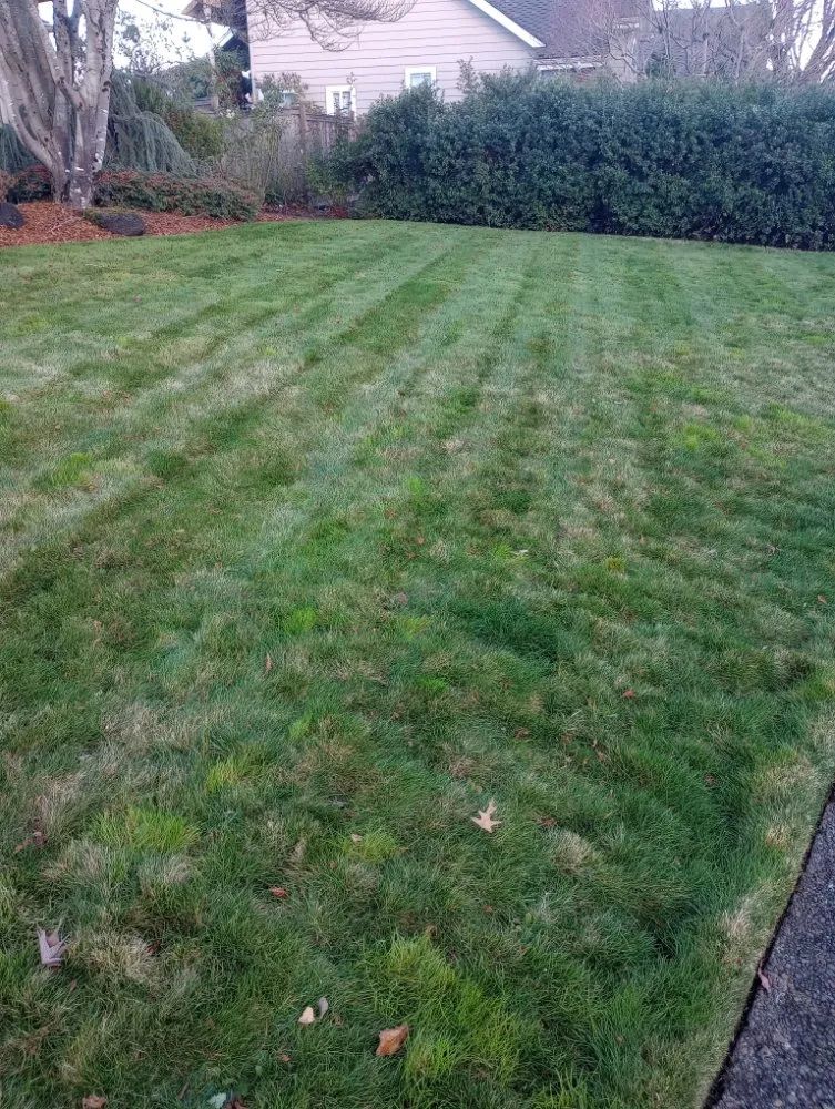 Affordable yard maintenance experts serving Springfield, OR - Chandler Outdoor Services