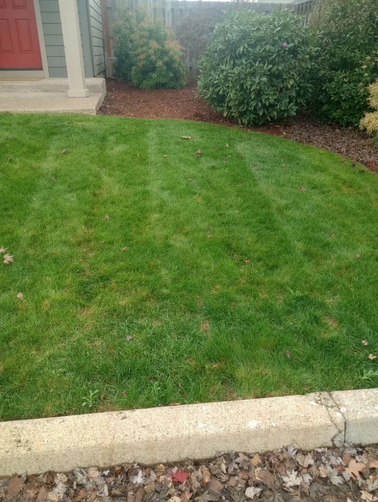 Professional landscape design in Springfield, OR - Chandler Outdoor Services