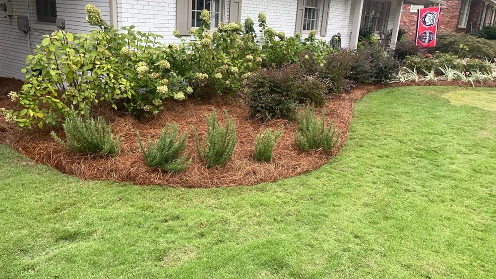 Trusted landscaping services experts serving Columbus, GA - Chandler Select Landscaping