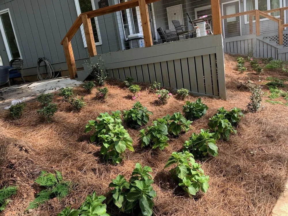 Trusted yard maintenance in Columbus, GA - Chandler Select Landscaping