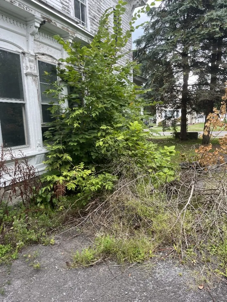 Custom landscaping services in Herkimer, NY - Chandlers All Seasons Outdoor Services