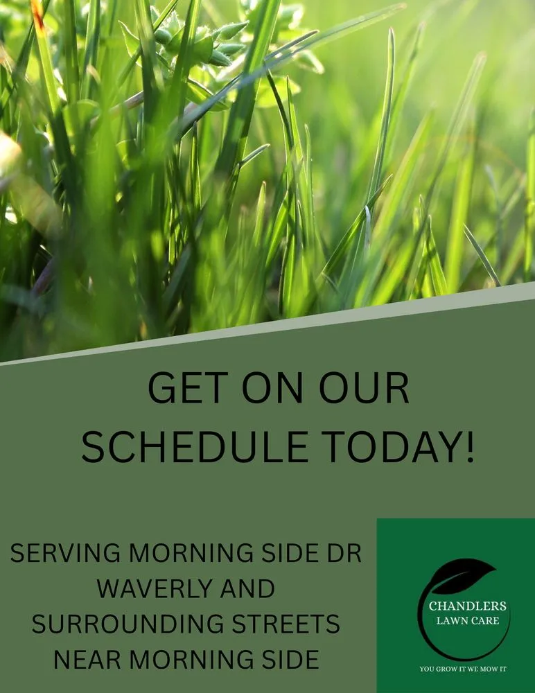 Expert lawn care service for year-round maintenance across Waverly, OH - Chandlers Lawn Care