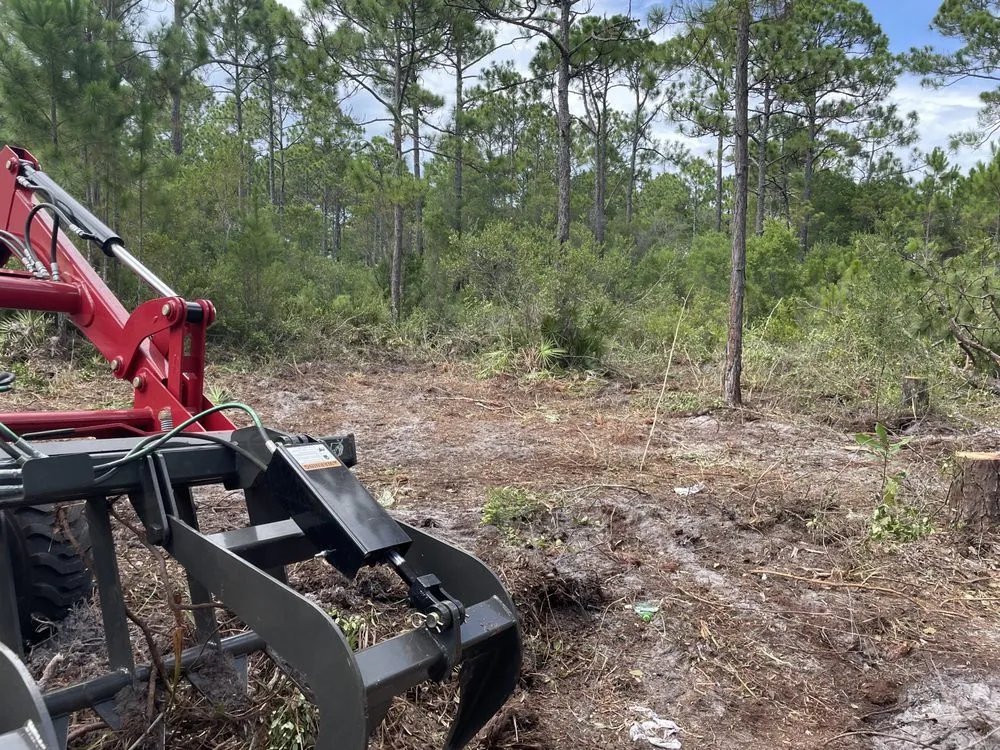 Expert landscaping services for year-round maintenance in Eastpoint, FL by Chandlers tractor & landscape