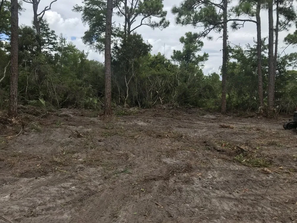 Local landscape installation in Eastpoint, FL - Chandlers tractor & landscape