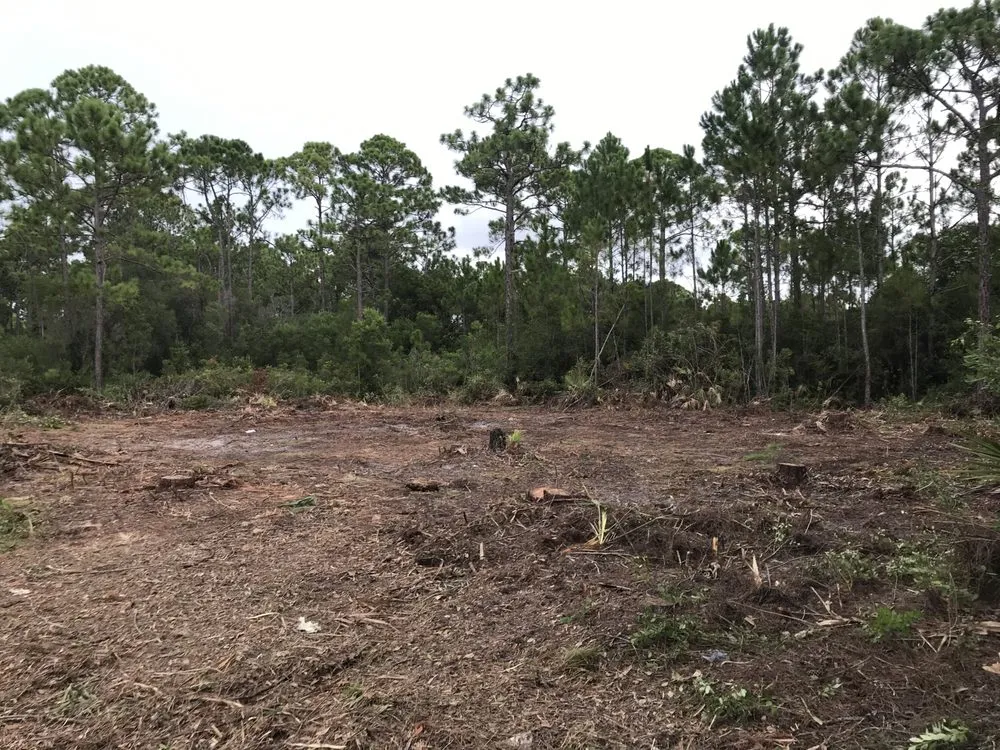 Professional landscape installation in Eastpoint, FL by Chandlers tractor & landscape