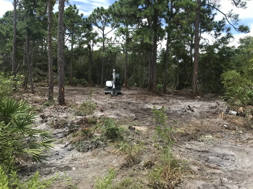 Reliable outdoor landscaping in Eastpoint, FL - Chandlers tractor & landscape
