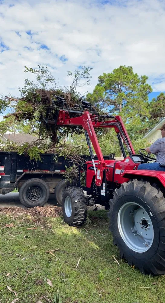 Professional residential landscaping experts serving Eastpoint, FL - Chandlers tractor & landscape