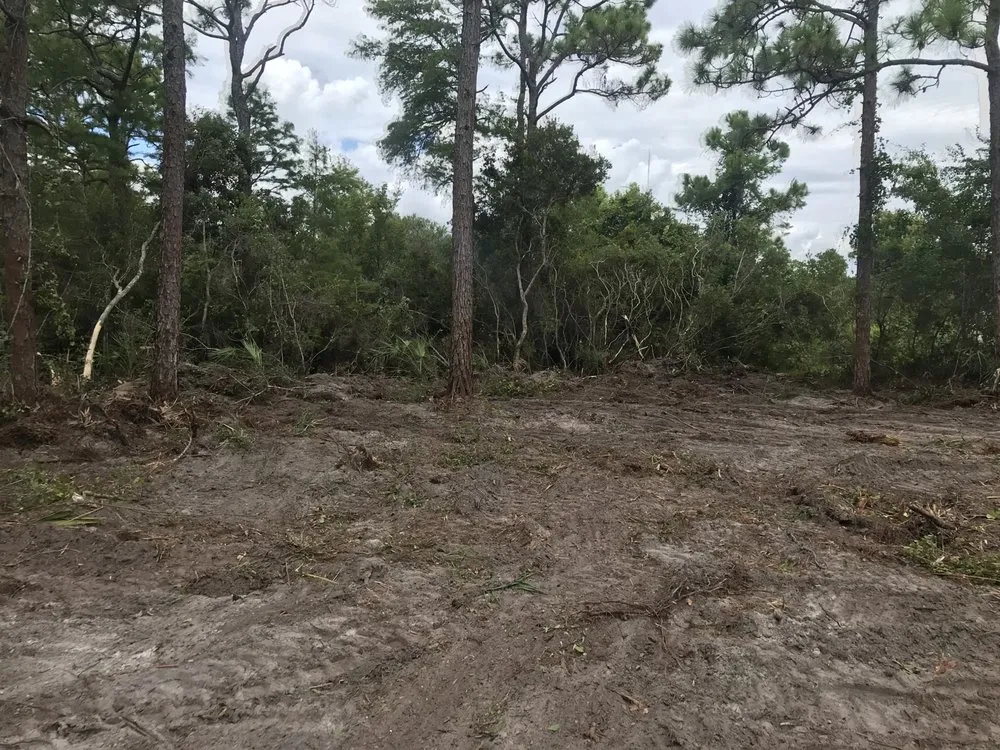 Professional lawn mowing service experts serving Eastpoint, FL - Chandlers tractor & landscape