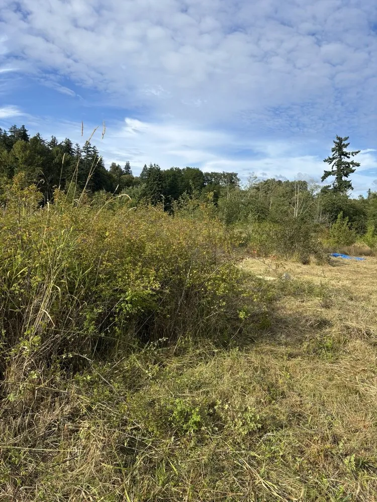 Professional yard maintenance in Bellingham, WA by Chandra's Lawn Care and Landscaping old Company