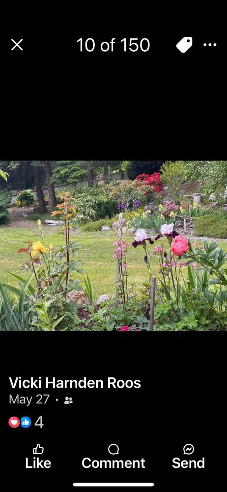 Trusted yard cleanup service with custom design across Bellingham, WA - Chandra's Lawn Care and Landscaping old Company