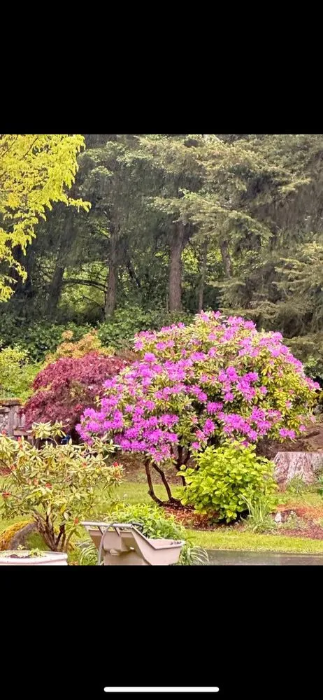 Reliable yard maintenance for homes across Bellingham, WA - Chandra's Lawn Care and Landscaping old Company