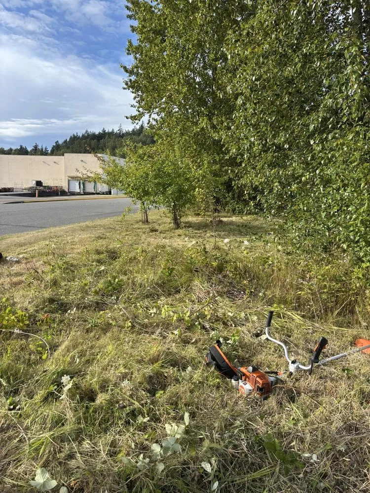 Affordable garden landscaping in Bellingham, WA by Chandra's Lawn Care and Landscaping old Company