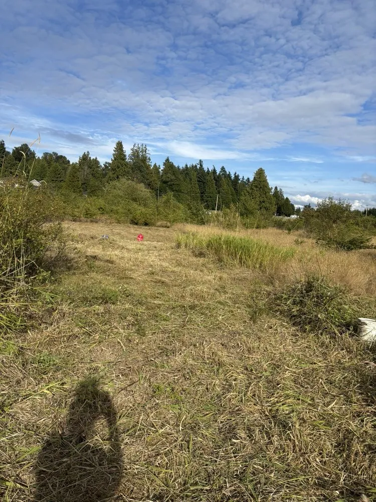 Custom garden landscaping for homes in Bellingham, WA by Chandra's Lawn Care and Landscaping old Company