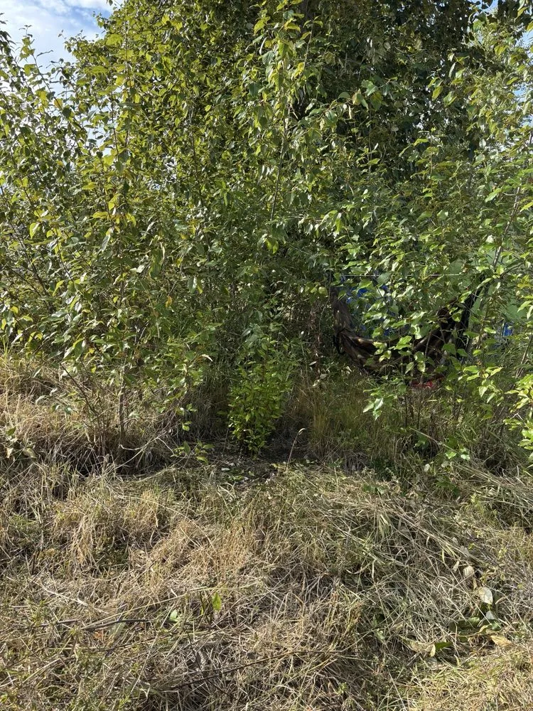 Professional lawn care service in Bellingham, WA - Chandra's Lawn Care and Landscaping old Company