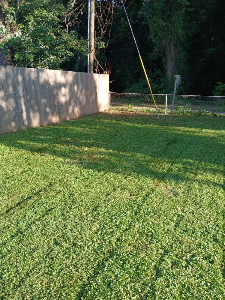 Trusted lawn mowing service near you across Richmond, VA - Chanelle and Billys Lawn Care Services