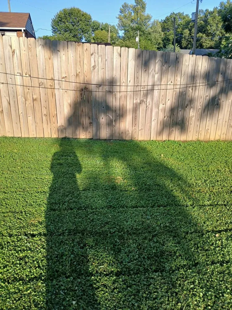 Local residential landscaping in Richmond, VA by Chanelle and Billys Lawn Care Services