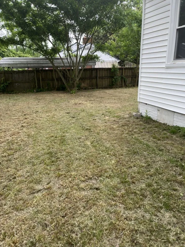 Professional garden landscaping for year-round maintenance across Richmond, VA - Chanelle and Billys Lawn Care Services